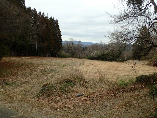 P3200082