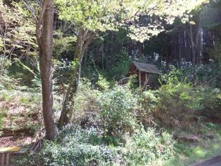 DSCF3914