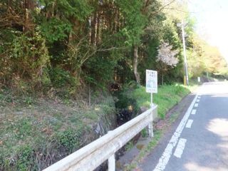 DSCF3931