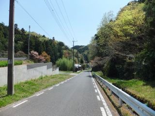 DSCF3937