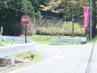 DSCF3950