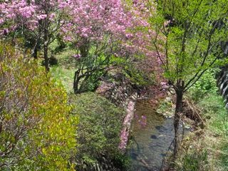 DSCF3953