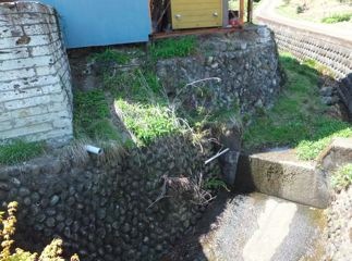 DSCF3956