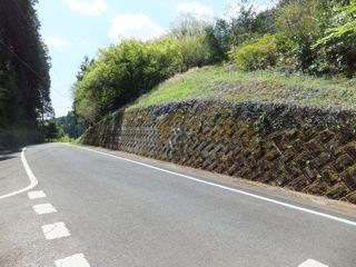 DSCF3963