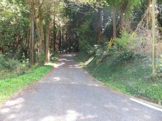 DSCF3968