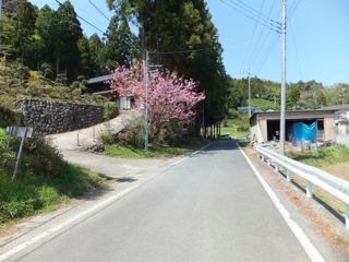 DSCF3976