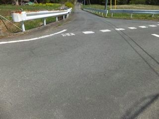 DSCF3981