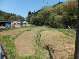 DSCF3984