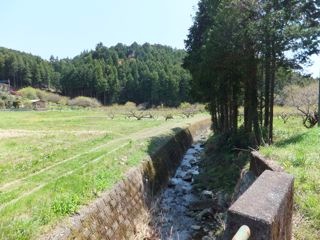 DSCF3991