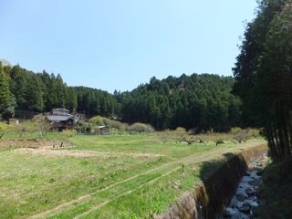 DSCF3992