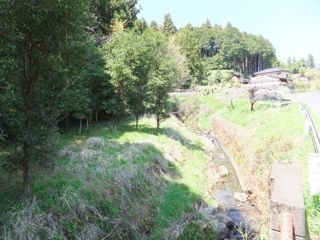 DSCF3995