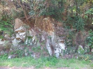 DSCF4003