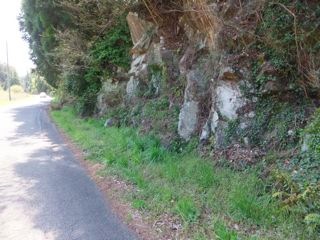 DSCF4007