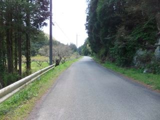 DSCF4014