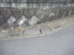Pasted Graphic 17