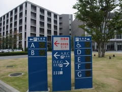 Pasted Graphic 1