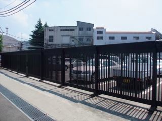 DSCF0253