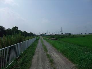 DSCF0288