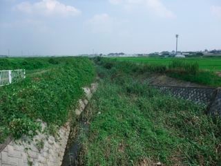 DSCF0289