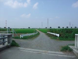 DSCF0291