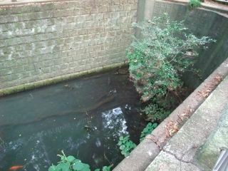 DSCF0312