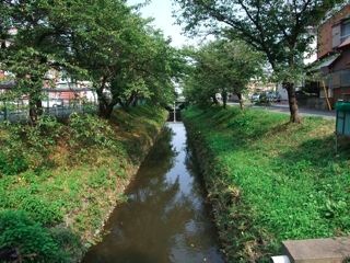 DSCF0315