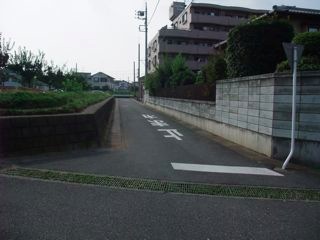DSCF0319