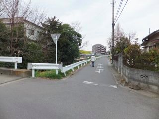 DSCF3629
