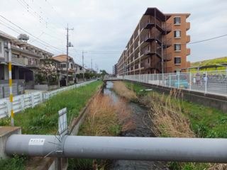 DSCF3632