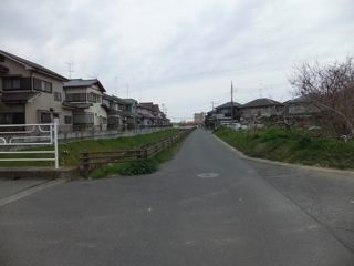 DSCF3645
