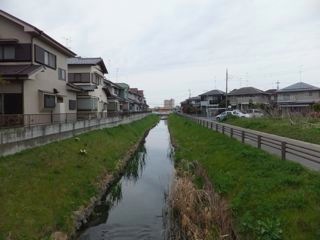 DSCF3647