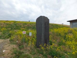 DSCF3689