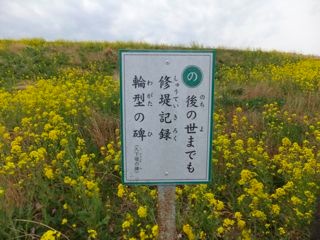 DSCF3690
