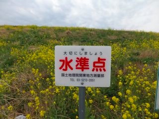 DSCF3691