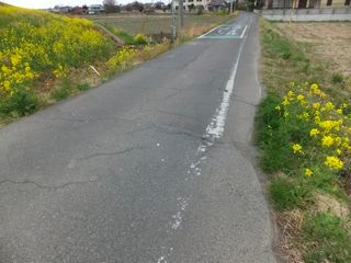 DSCF3694