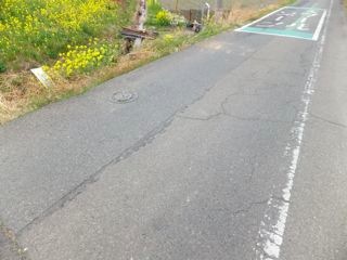 DSCF3697