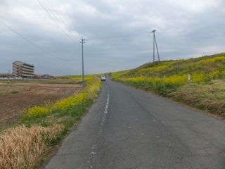 DSCF3705
