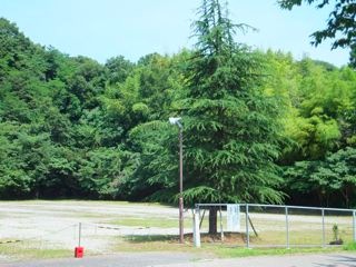 DSCF6964