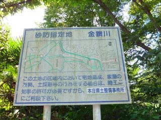 DSCF6974