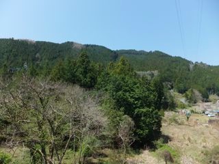 DSCF8916