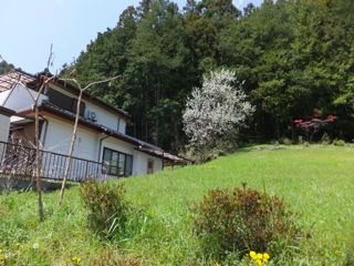 DSCF8928