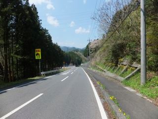 DSCF8954