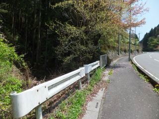 DSCF8961