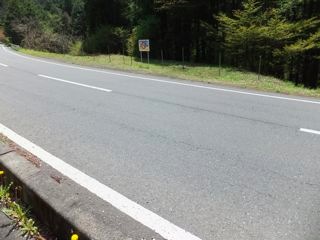 DSCF8964