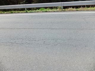DSCF8974
