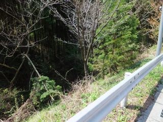 DSCF8975