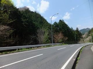 DSCF8988