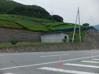 DSCF9584