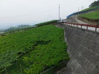 DSCF9592