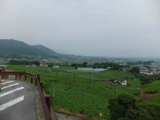 DSCF9599